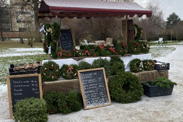 Hästochgrönsakasbonden.se-galleri (1)