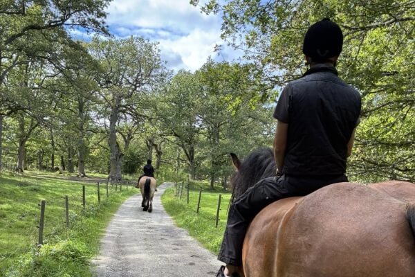 Hästochgrönsakasbonden.se-galleri – 2 (1)