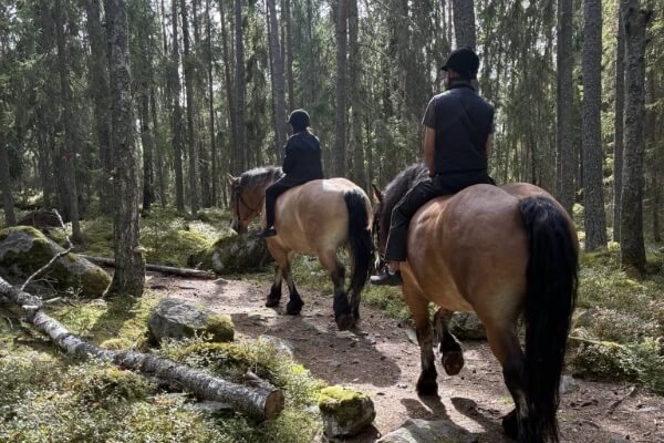 Hästochgrönsakasbonden.se-galleri – 3 (1)