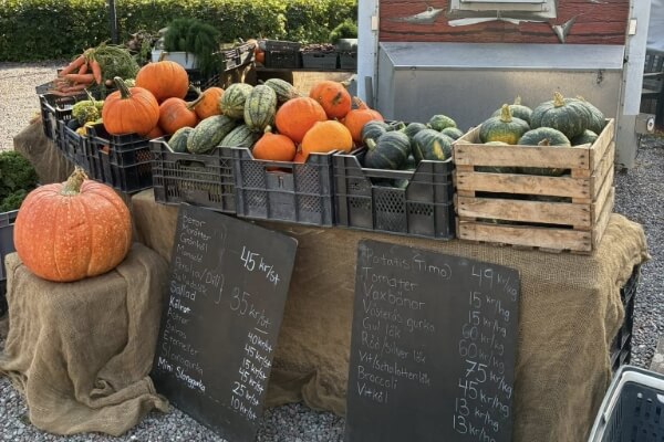 Hästochgrönsakasbonden.se-galleri – 5 (1)